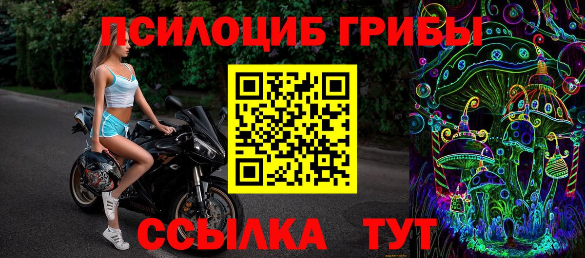Аша  Псилоцибиновые грибы мицелий  Вход с VPN 