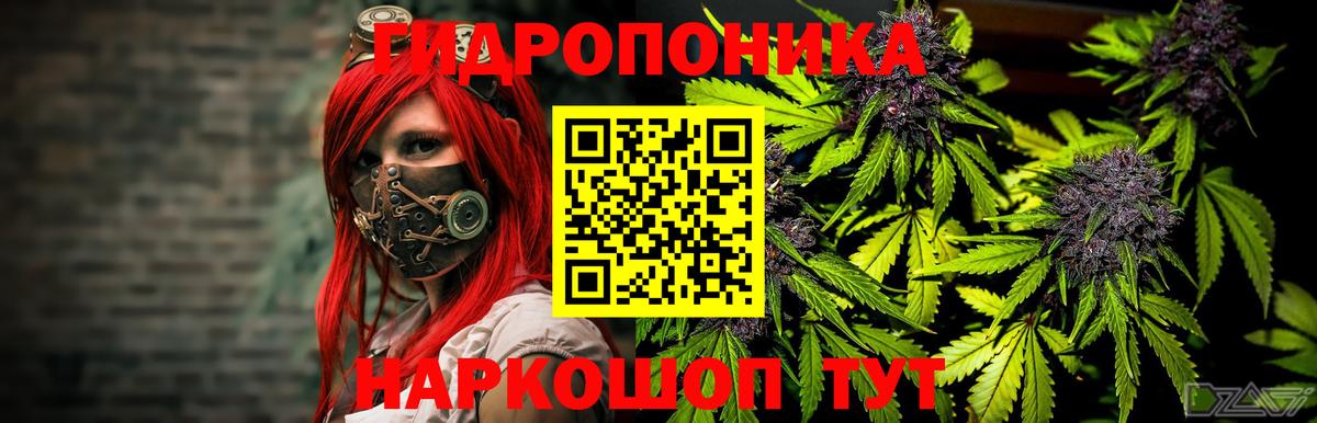 Бошки Шишки THC 21% Аша
